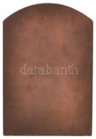 Sződy Szilárd (1878-1939) 1928. "Budapesti Egyetemi Athlétikai Club 1898" Br plakett (70x4...