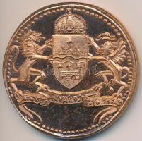 Ifj. Szlávits László (1959-) DN "Szent Flórián / Budapest Fővárosi Tűzoltóság" bronzozott ...