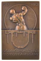 Sződy Szilárd (1878-1939) 1913. "Diósgyőr-Vasgyári Propaganda Verseny" Br díjplakett (71x42mm) T:2