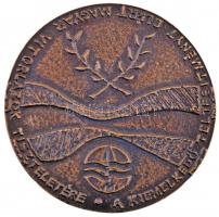 Farkas Ádám (1944-) 1987. "A kiemelkedő teljesítményt elért magyar vitorlázók tiszteletére / Fa...