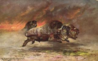 7 db RÉGI használatlan motívumlap; állatok szignózva / 7 old unused motive cards; animals, artist signed