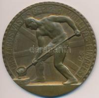 Pásztor János (1881-1945) 1921. "Országos Vas és Gépipari Kiállítás-Budapest 1921" Br emlékplakett (60mm) T:2,2-