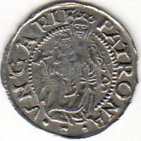 I.Ferdinánd (1526-1564) 1555. Denár Ag ÉH745.a T:2-