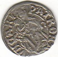 II.Ulászló (1490-1516) Denár Ag ÉH641 T:2-