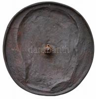 Beck András (1911-1985) DN "Bársony Tivadar" Br plakett, a Zsidó Kórház főradiológusáról (...