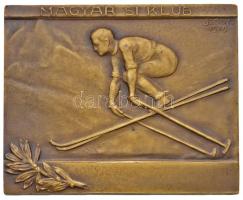 Sződy Szilárd (1878-1939) 1929. "Magyar Sí Klub" Br plakett (57x70mm) T:2