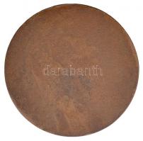 Vilt Tibor (1905-1983) DN "Dr. Bíró Gyula a szabad orvosválasztás előharcosa" Br plakett (...