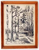 Túri Tóth Ákos: Gödöllői parkerdő. Tus, papír, jelzett, üvegezett keretben, 27×19 cm