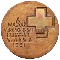 Nyírő Gyula (1924-2005) 1981. "Henri Dunant, a Vöröskereszt alapítója 1828-1910 / A Magyar Vörö...