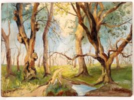 Bornemitz jelzéssel: Ösvény. Olaj, fa, 50×70 cm