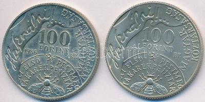 1986-1990. 100Ft alpakka "Fáy András" (2xklf) T:BU