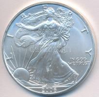 Amerikai Egyesült Államok 2006. 1$ Ag "Amerikai Sas" T:1 USA 2006. 1 Dollar Ag "American Eagle Bullion Coin" C:UNC