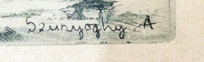 Szunyoghy András (1946-): Balatoni táj. Rézkarc, jelzett a dúcon, üvegezett keretben, 7x19cm