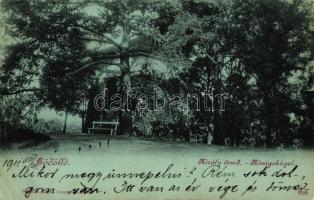 Gödöllő - 4 db városképes lap: Királyi domb, Erzsébet királyné szobra, park, királyi kastély