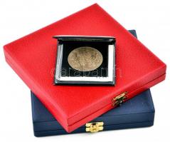 1987. "Pedagógusok Szakszervezete - Központi Vezetősége - Érdemes Munkájáért" Br emlékérem...