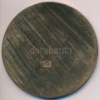 DN "Gróf Széchenyi István" Br plakett, jelzett Berán kópia (71mm) T:2-