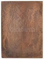 Solymári Valkó László (1909-1984) 1954. "Dózsa György" Br plakett (66,5x90,5mm) T:2