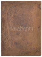 Solymári Valkó László (1909-1984) 1954. "Petőfi Sándor" Br plakett (66,5x90,5mm) T:2