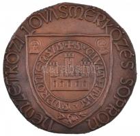 Renner Kálmán (1927-1994) 1965. "Nemzetközi Lovasmérkőzés Sopron" Br emlékplakett (96-97mm...