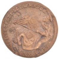 1975. "Nemzetközi Lovasnapok - Tamási 1975" Br emlékplakett (122mm) T:2-