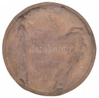 1975. "Nemzetközi Lovasnapok - Tamási 1975" Br emlékplakett (122mm) T:2-