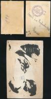 cca 1940-45 Német katona tiszt korabeli fotója, 3db, különböző méretben, egy hátoldalon feliratozva