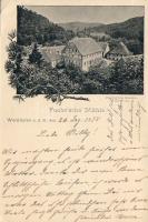 1898 Weinheim Mühle (EB)