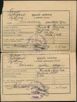 1925 Fényképes, kitöltött csehszlovák útlevél