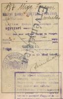 1925 Fényképes, kitöltött csehszlovák útlevél