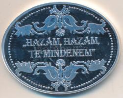 DN "Lánchíd / Széchenyi István" ovális ezüstözött rézötvözet a "Hazám, hazám, te mind...