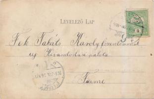 Budapest XX. Erzsébetfalva, Holt Duna; kiadja Kohn és Grünhut (EB)