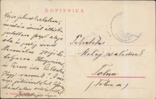 Alsómiholjác, Dolnji Mihojlac; Majláth-kastély / Uprava Vastelinstva Grofa Mailatha, Verlag M. Rosch...