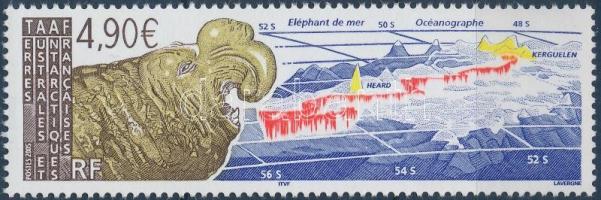 Tengeri elefánt, Sea elephant