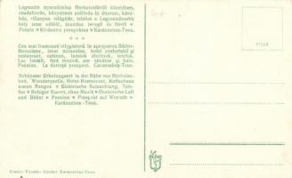 Karánsebes, Friderik-lak, Füszfás nyaraló, teniszpálya, Füszfás Sándor kiadása / villa, tennis court