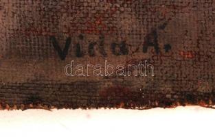 Vida jelzéssel: Női portré, olaj, vászon, jelzett, lepattogzásokkal, 50×35,5 cm