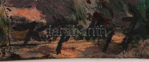 Kárpáthy jelzéssel: Balaton, olaj, farost, 24,5×34,5 cm