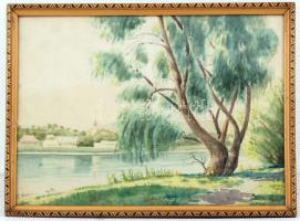 Diósy Antal (1895-1977): Folyópart fűzfával, akvarell, papír, üvegezett fa keretben, 28,5×39,5 cm