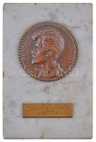 Berán Lajos (1882-1943) 1923. Petőfi születésének 100. évfordulója Br érem márványlapon (54mm) T:2 Hungary (1882-1943) 1923. 100th Anniversary of Birth of Sándor Petőfi Br medallion on marble slab. Sign.: Lajos Berán (54mm) C:XF HP 1241.