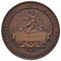 ~1910. "Budapesti Nőiszabó Leányruha és Fűzőkészítő Ipartestület / A munka szorgalom és haladás...