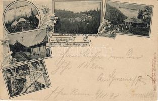 1898 Hohen Rinne (levágott)