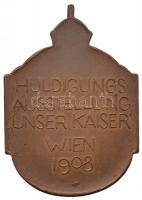 Ausztria 1908. "Ferenc József 60 éves uralkodásának jubileumi kiállítása" Br emlékérem, sz...