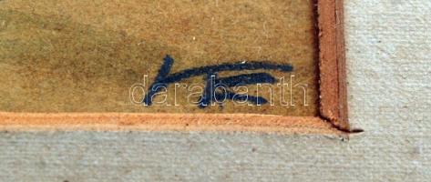 Olvashatatlan jelzéssel: Elza lak 1930, akvarell, papír, paszpartuban, üvegezett keretben, 15x22cm