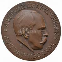 Tóth Gyula (1893-1970) DN "A képviselőház elnökének Zsitvay Tibornak" Br plakett (96mm) T:2 Hungary ND "Tibor Zsitvay" Br plaque. Sign.: Tibor Zsitvay (96mm) C:XF