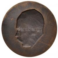 Tóth Gyula (1893-1970) DN "A képviselőház elnökének Zsitvay Tibornak" Br plakett (96mm) T:...