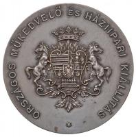 1907. "Temesvár 1907 / Országos Műkedvelő és Háziipari Kiállítás" ezüstözött Br emlékérem ...