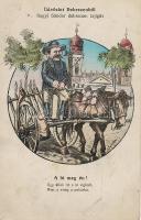 Debrecen Bugyi Sándor talyigás