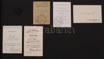 Pál Emil úttörő vezető, a Medvei utcai pedagógus elismert tanárának évtizedeken keresztül összegyűjt...