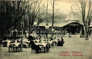 Pozsony, Vaskutacska / restaurant (r)