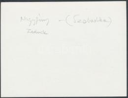cca 1940 Nagyfény (Žednik/Csantavér, ma: Stari Žednik, Szerbia) vasútállomás, fotó, hátulján felirat...