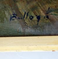 Ballagó Imre (1915-1997): Tóparton. Olaj, vászon, jelzett, keretben, 60×80 cm